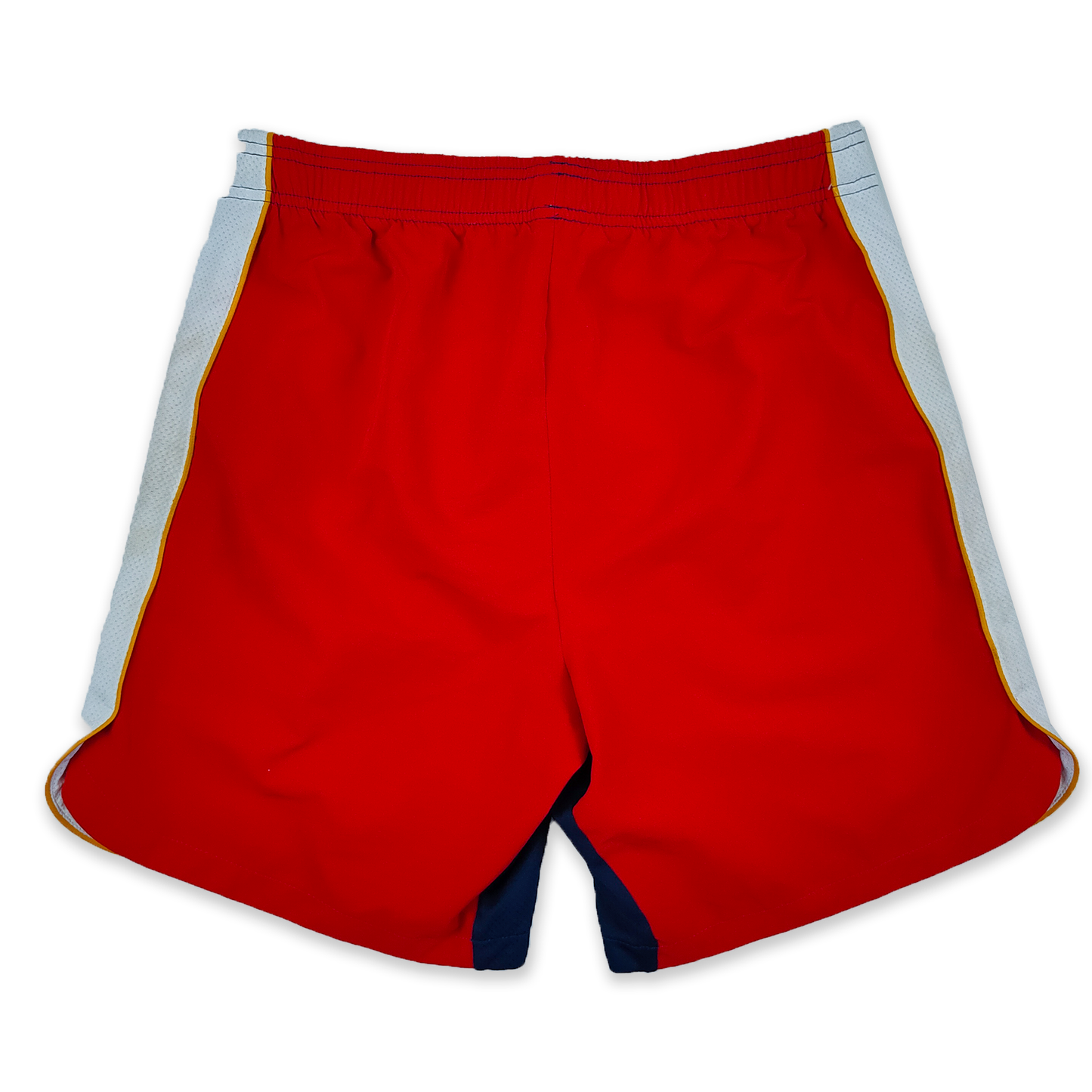 Nike SB Shorts