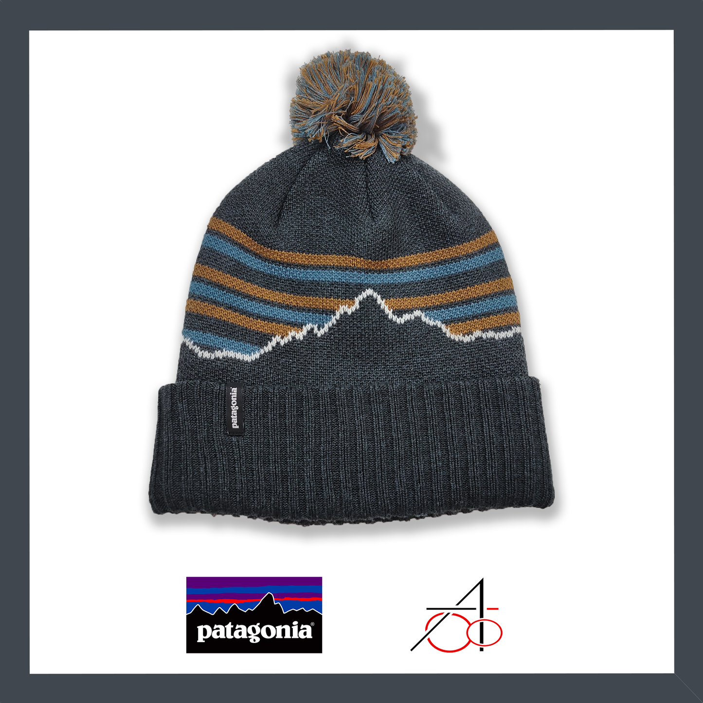 Patagonia Winter Hat